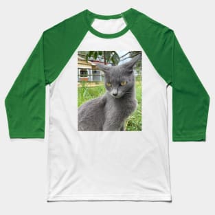 a portrait of a grey cat Baseball T-Shirt